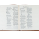 ESV Journaling Bible (Sierra Theme)