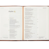 CSB Notetaking Bible (Vienna Theme)